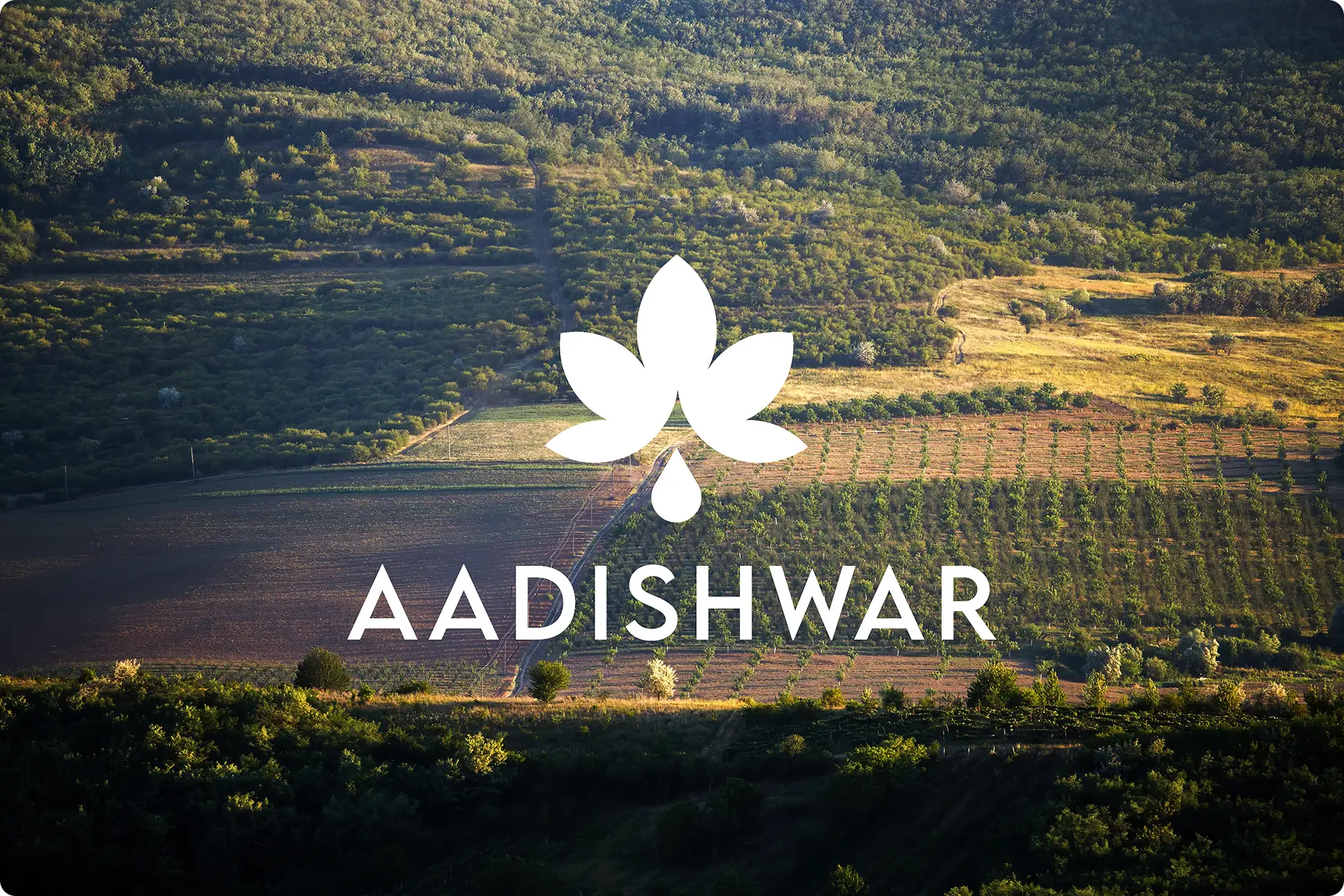 Aadishwar Oil
