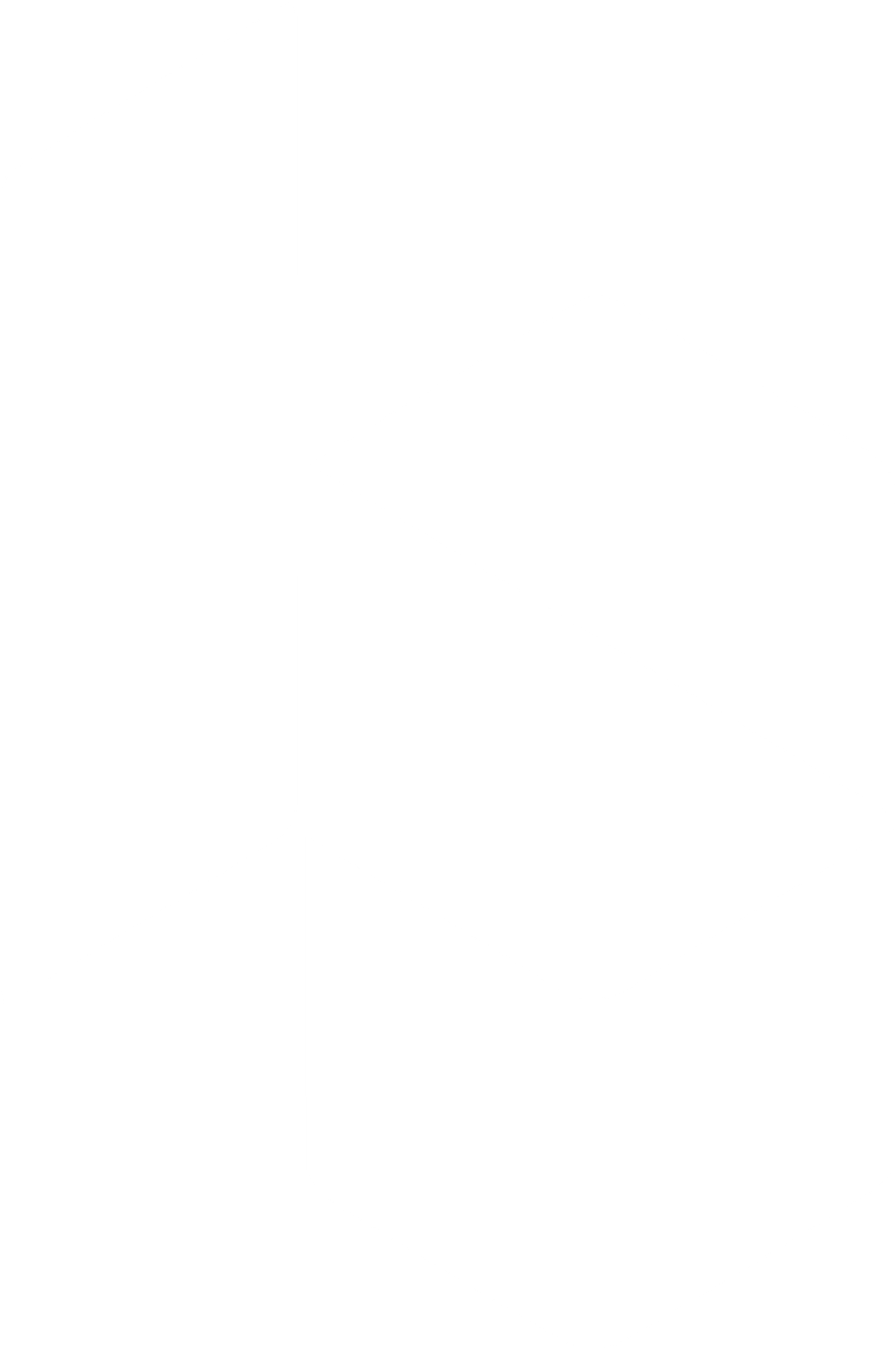 Belenza Logo_White Icon